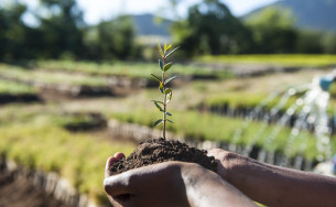 Finanzieller Klimabeitrag