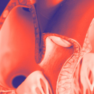 Mit Infrastruktur und Daten zu Entscheidungen: KI im Gesundheitswesen