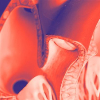 Digital Health 2026: Investitionen, Innovationen, Impulse für die Versorgung